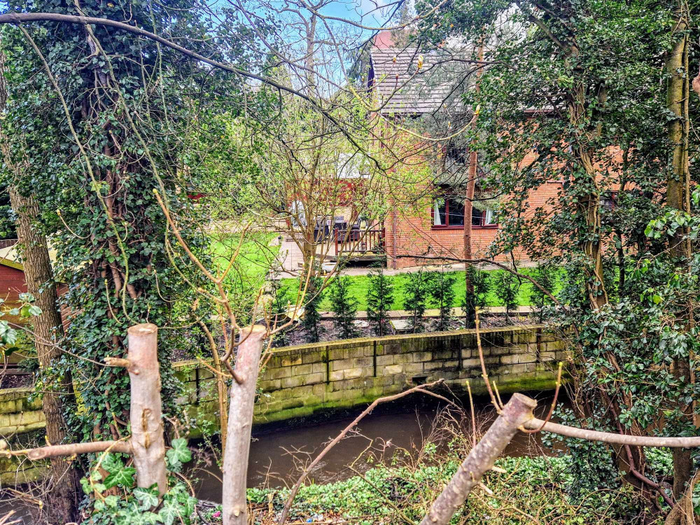 A Crewe family's mental health is being severely impacted, after Penny Petroleum cut down several trees in front of their garden on Crewe Road (Nub News). 