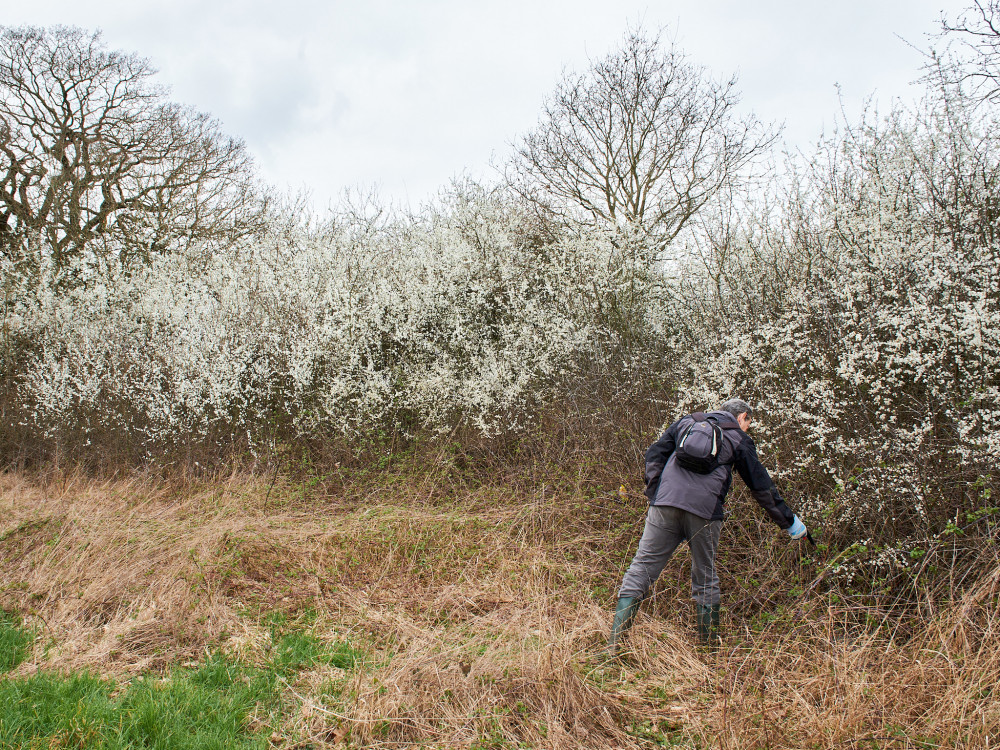 Volunteers were quick to get to work with their litter pickers (Photo: Oliver Monk)