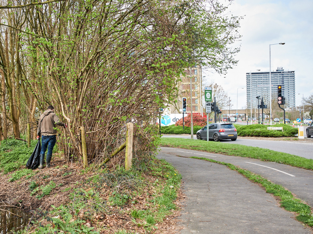 The reserve is a secret even to many locals, hidden along Kingston Road near Lidl House (Photo: Oliver Monk)