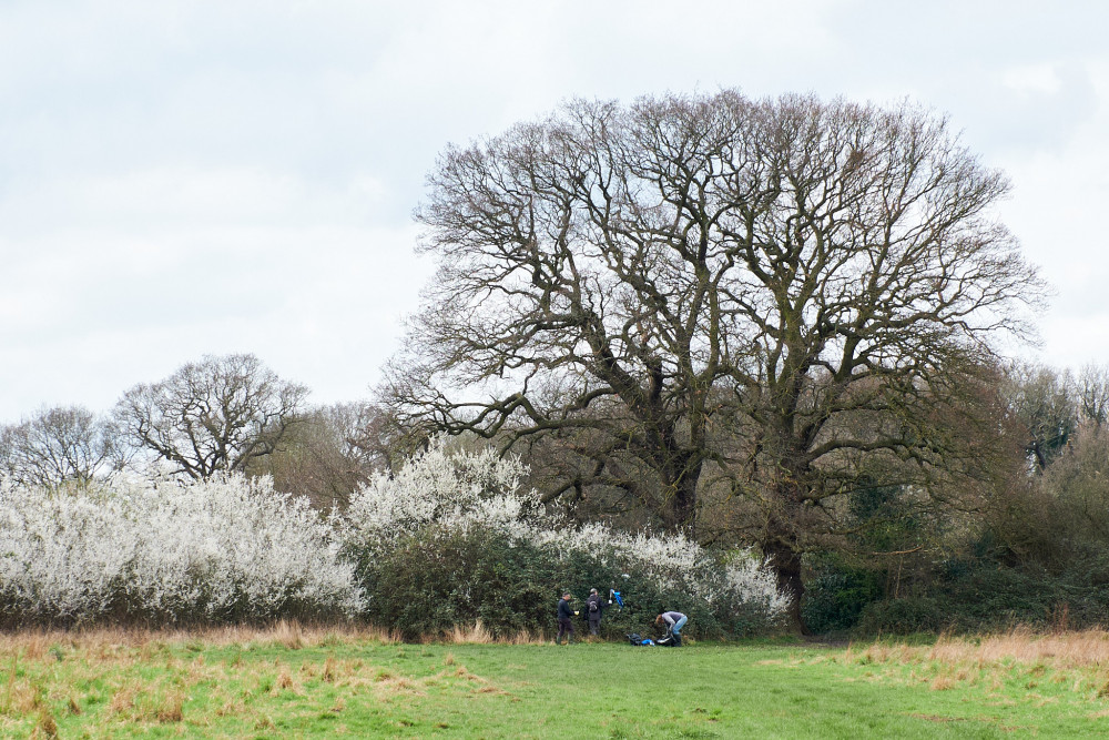 Over half of UK butterfly species can be found in Tolworth Court Farm nature reserve (Photo: Oliver Monk)