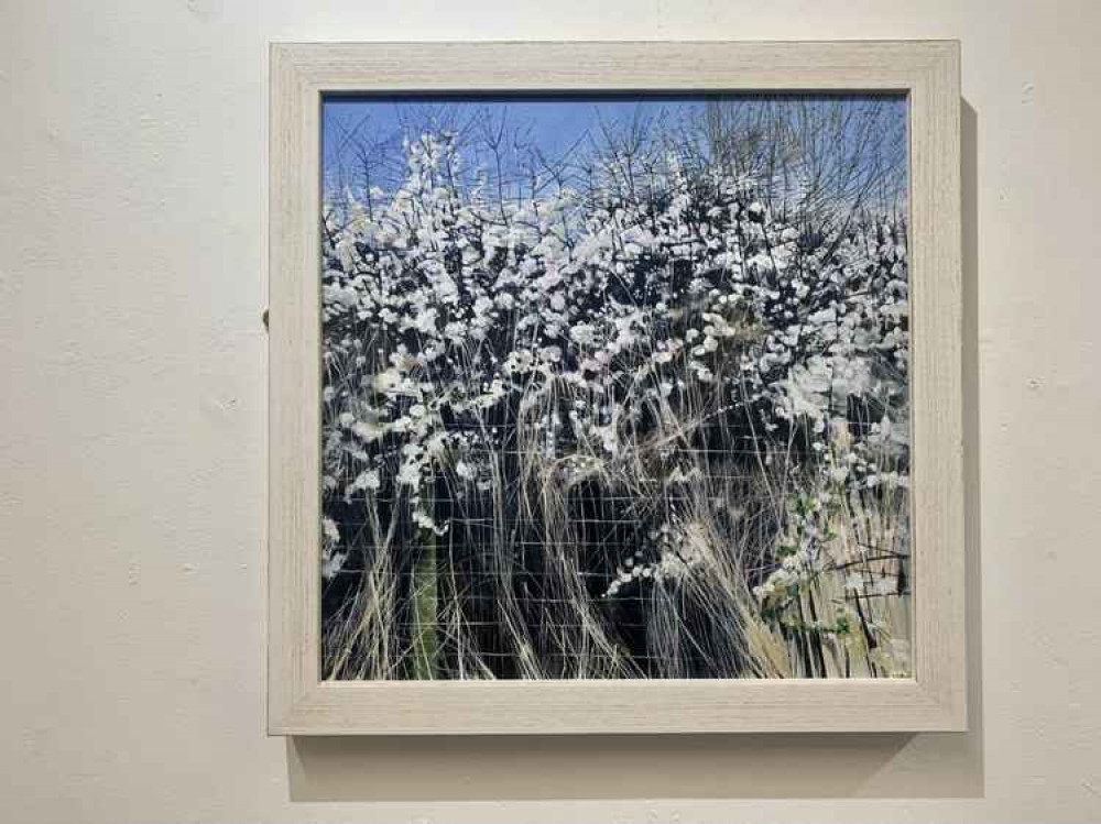 'Hawthorn in Flower' by Sophie Parr 'Hawthorn in Flower' by Sophie Parr