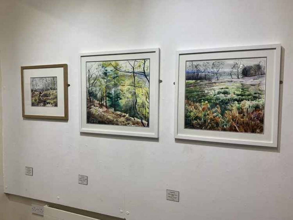 'Path to the Edge, Bickerton Hill', 'Pockets of Open Space' and 'Stroll through Moss Wood by Sophie Parr 'Path to the Edge, Bickerton Hill', 'Pockets of Open Space' and 'Stroll through Moss Wood by Sophie Parr