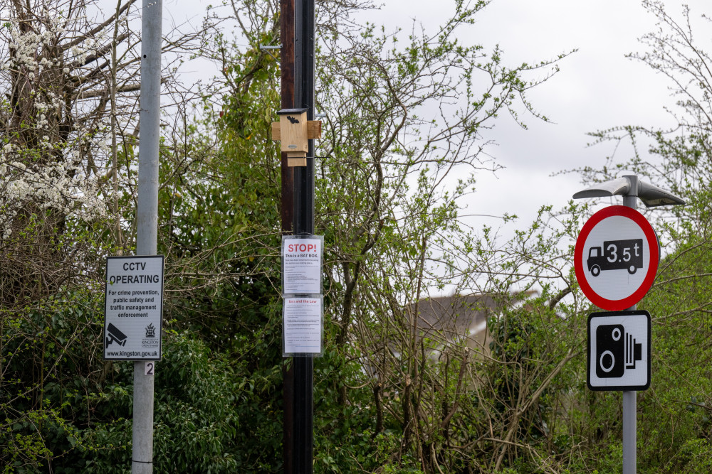 A bat box mounted to a ULEZ camera pole (Photo: SWNS)