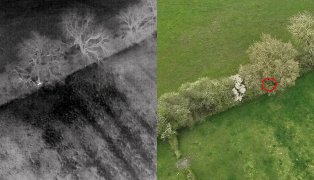 Drone pilot John Watton found the two missing puppies under a tree (image via SWNS) Drone pilot John Watton found the two missing puppies under a tree (image via SWNS)
