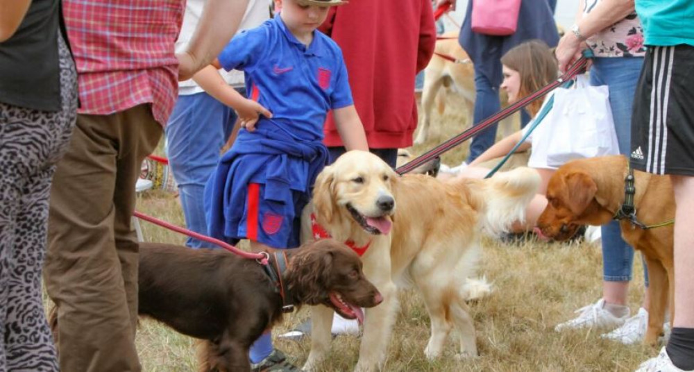 Suffolk Day returns (St Elizabeth Hospice)