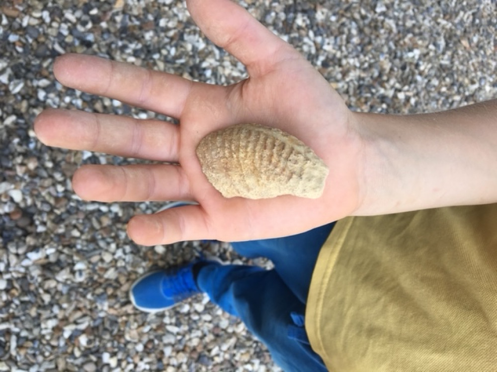 Ask a Geologist Ask a Geologist