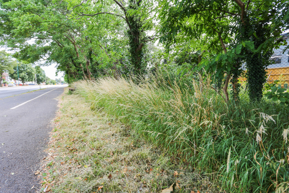 Some verges went uncut for nearly three months last year (image via SWNS)