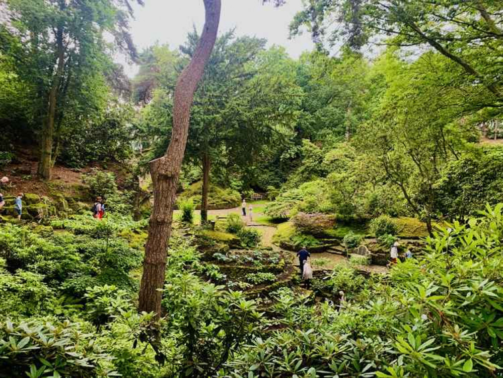 Manley Knoll woodland