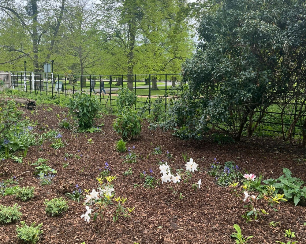 The flower bed where the missing tree was planted (Photo: Royal Parks Police)