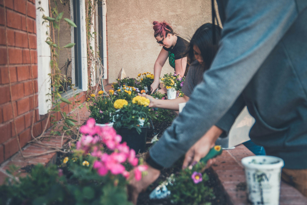 These courses are free for adults who are not currently in education, employment, or training (Photo: Kenny Eliason) 