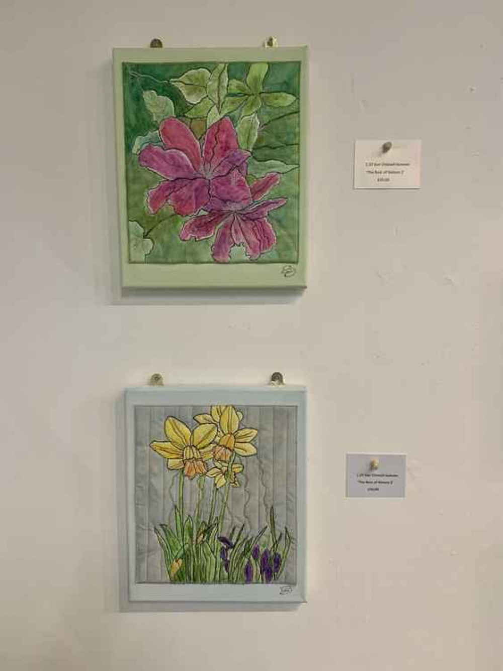 'The Best of Nature 1 and 2' by Sue Chisnall-Sumner 'The Best of Nature 1 and 2' by Sue Chisnall-Sumner