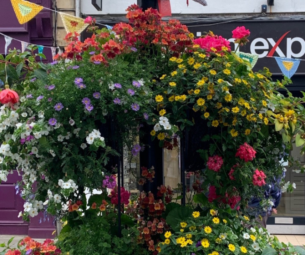 Wells will be back in bloom this summer (File photo/Philip Welch) 