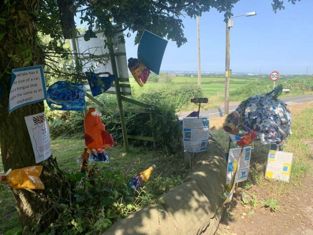 Manley School have created a scarecrow of a whale Manley School have created a scarecrow of a whale