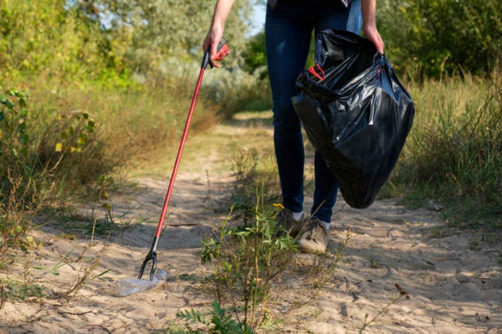 North West Leicestershire District Council is aiming to be greener and cleaner. Photo: Pixabay