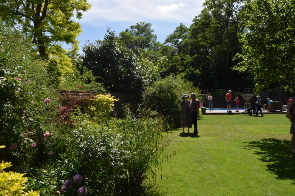 Ham Open Gardens