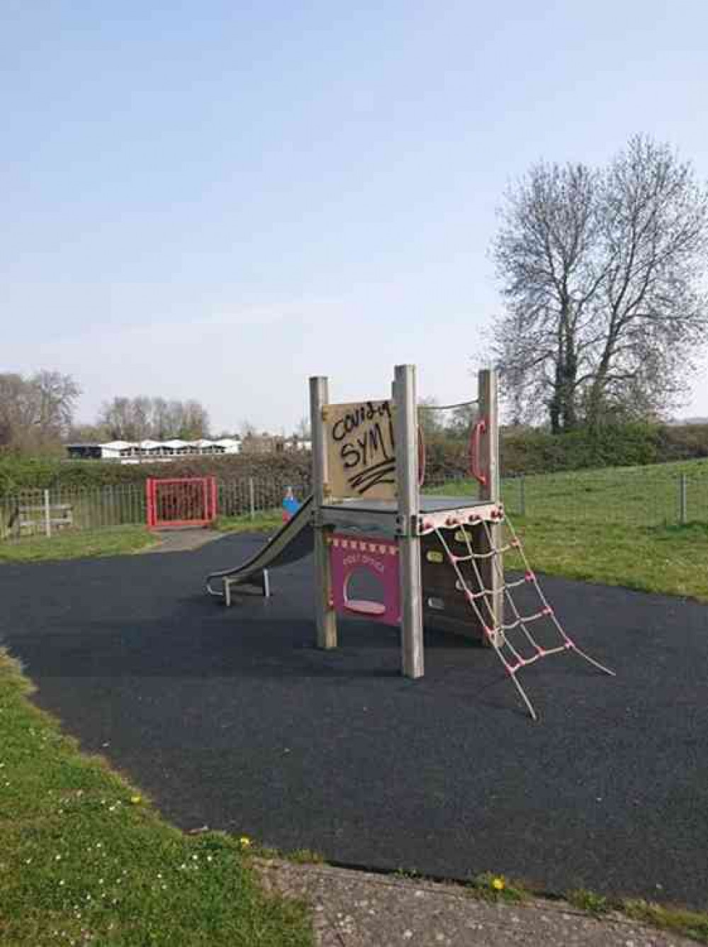 The 'tagging' in the park The 'tagging' in the park