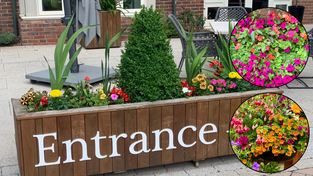 Entries for Warwick in Bloom 2024 are now open (images via Warwick Town Council)