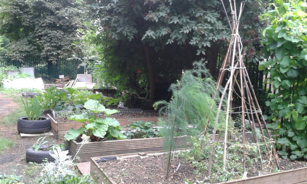 Open Garden, Canbury Community Garden