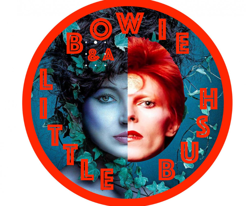 Bowie and a Little Bush are heading to Glastonbury this weekend. (Photo B&ALB) Bowie and a Little Bush are heading to Glastonbury this weekend. (Photo B&ALB)