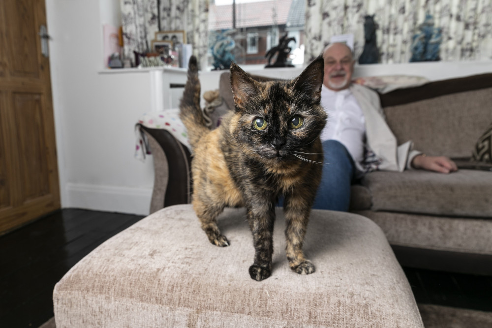 A man from Stockport claims to have the world's oldest cat - a 29-year-old tortoiseshell moggy called Millie (Image - SWNS)