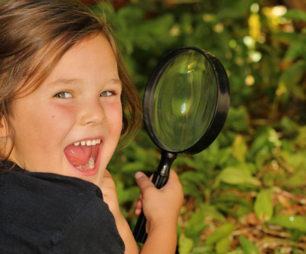 Forest School