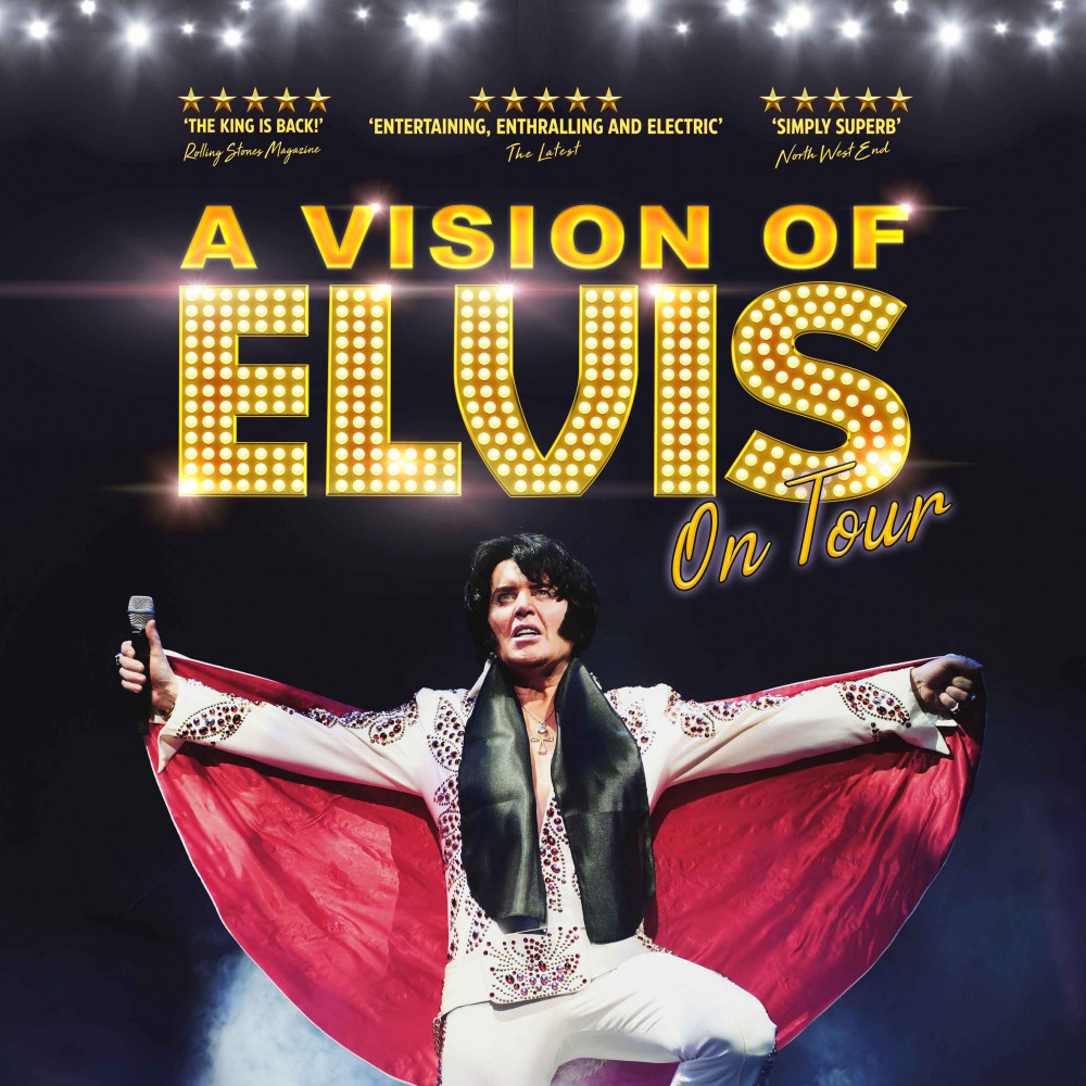 A Vision Of Elvis A Vision Of Elvis