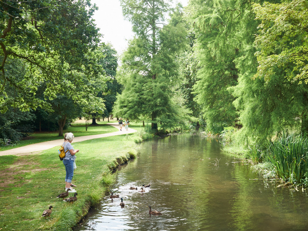 Local artists are being asked to help showcase the most ‘inspiring elements’ of Home and Bushy Parks in a newly-announced competition. (Photo: Ollie G. Monk)