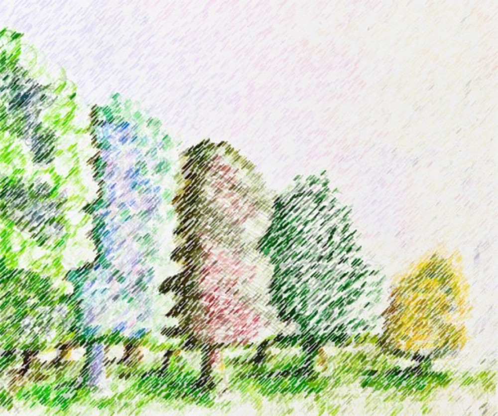 Park Arts Competition Park Arts Competition