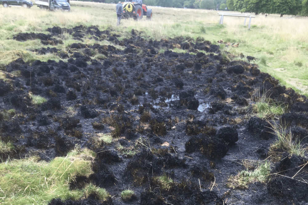 Fire damage at Richmond Park (credit: The Royal Parks).