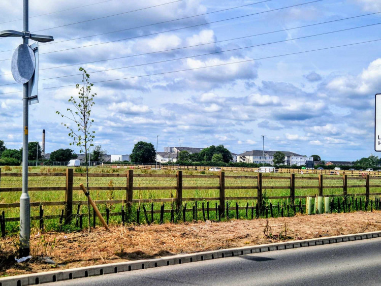 Each scheme relates to parcels of land off Minshull New Road and Flowers Lane in Leighton, surrounding the North West Crewe Package (NWCP) (Ryan Parker).