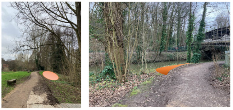 Seven trees will be planted to replace the four that need to be removed (image via FTC)
