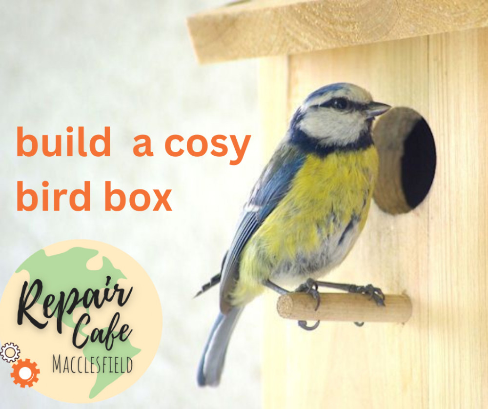 Build a cosy bird box with Macc Repair Cafe Build a cosy bird box with Macc Repair Cafe