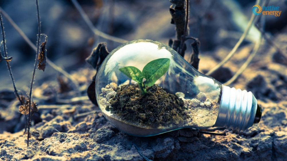 Election candidates share their initiatives for addressing environmental concerns. Election candidates share their initiatives for addressing environmental concerns.