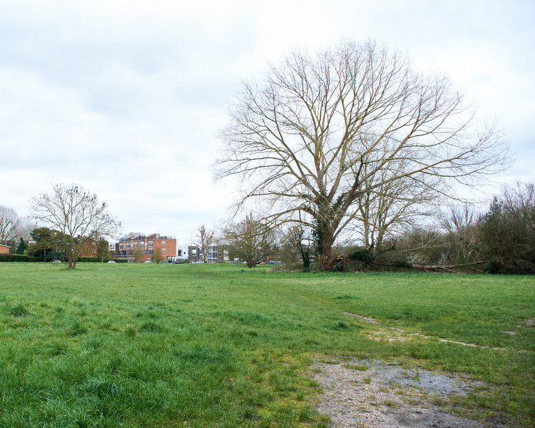 Thames Water has updated its Teddington DRA proposal to no longer use construction shafts in green spaces like Ham Lands following its public consultation in autumn 2023. (Photo: Oliver Monk)