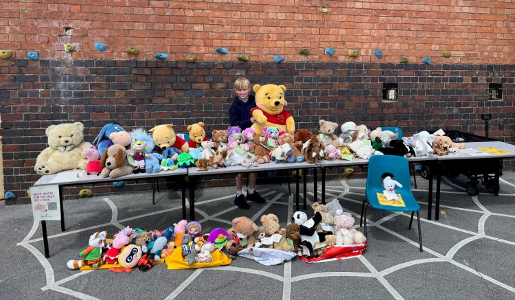 Hugo's bear sale at Westgate School (image supplied)