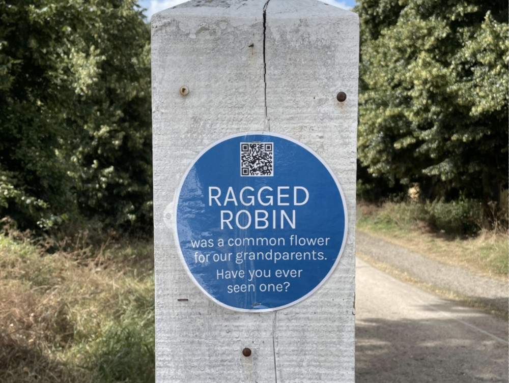 Many signs resembling historical blue plaques have been spotted across Richmond Borough. (Photo: Alfie Perrin) 