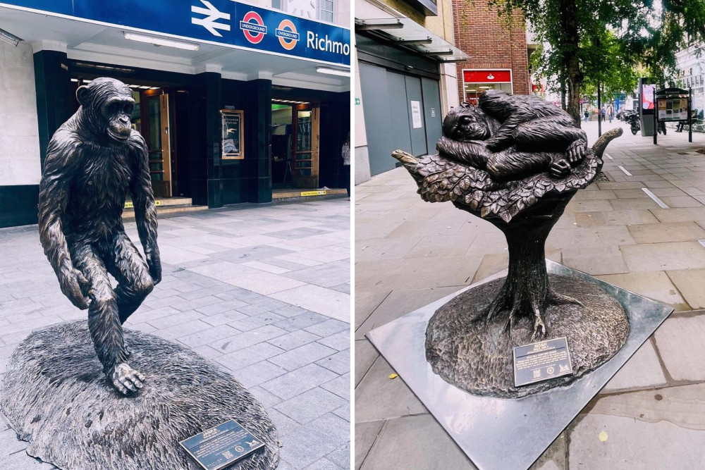 Nine bronze sculptures from Kingston's 'Chimps Are Family' exhibition have been moved to Richmond town centre. (Photos: Be Richmond)