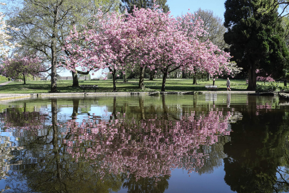 Collett Park in Shepton Mallet (File photo) 