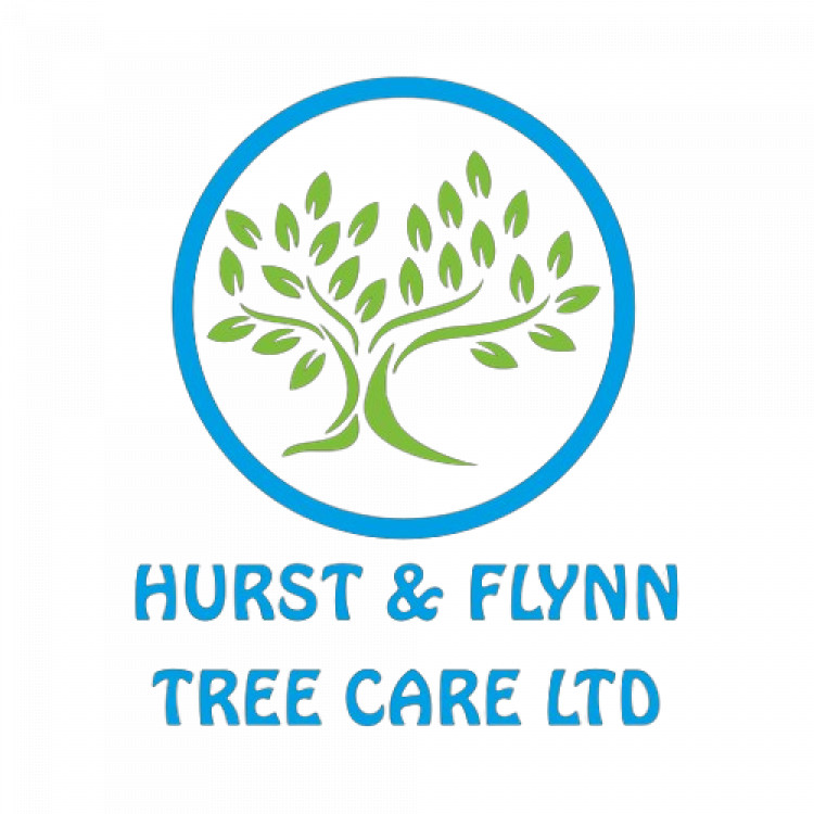 Image: Hurst & Flynn Tree Care