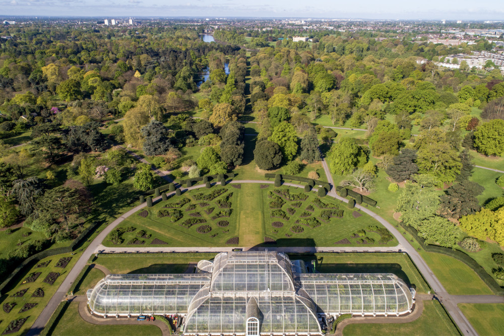 Kew's Landscape Succession Plan reveals that half of its trees could be in danger by 2090 (credit: Royal Botanic Gardens Kew).