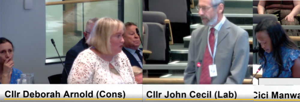 Opinions vary: From left, Cllrs Rigby, Arnold, Cecil and Manwa. Opinions vary: From left, Cllrs Rigby, Arnold, Cecil and Manwa.