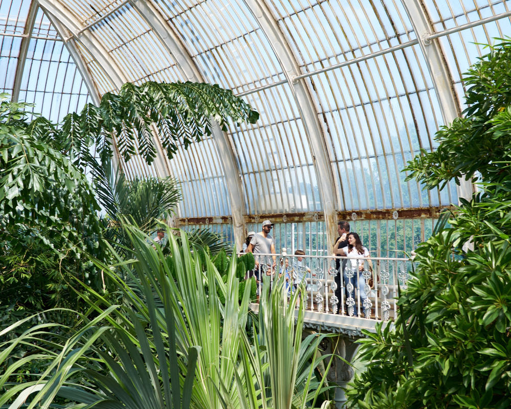 100,000 £1 tickets have now been sold to visit Kew Gardens (credit: Oliver Monk).