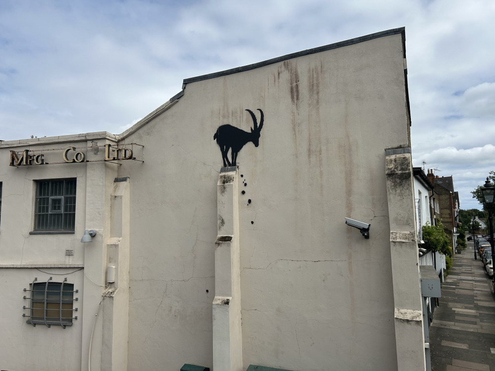 English artist Banksy reveals new artwork of goat in Kew Bridge, west London (credit: SWNS). 