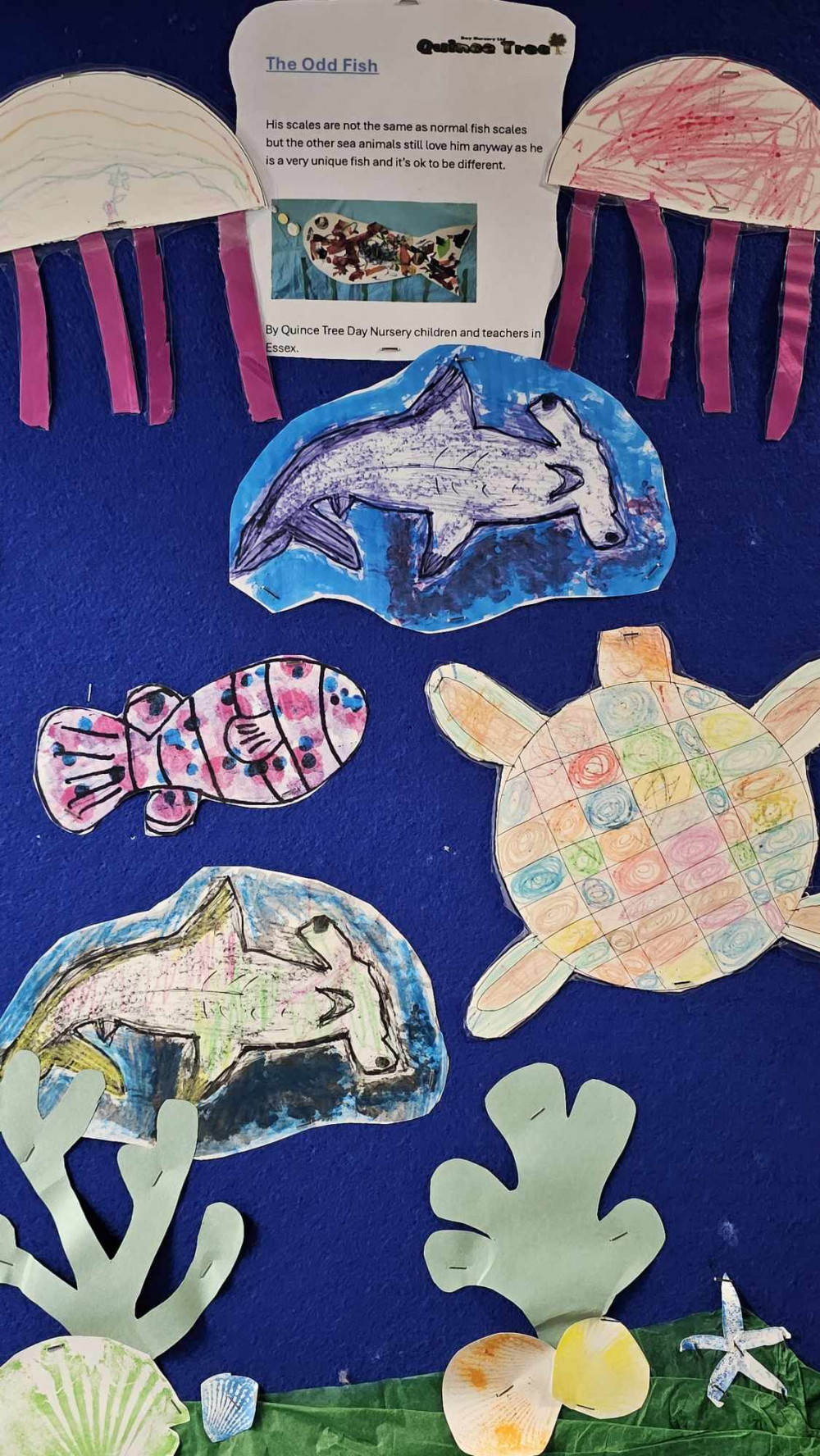 Sealife Artwork Sealife Artwork