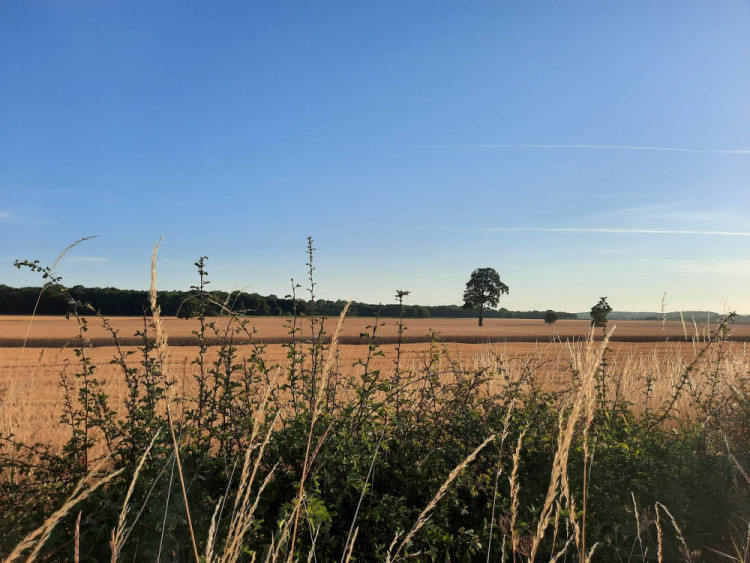 Plans for 72 affordable homes in Oakham have been refused by the local council (Nub News).