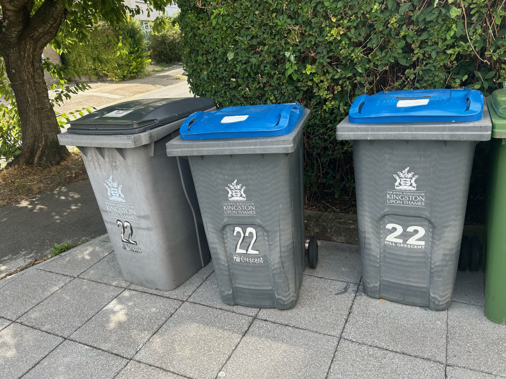 Bin collections in Kingston will continue as normal this weekend (Credit: Tilly O'Brien)