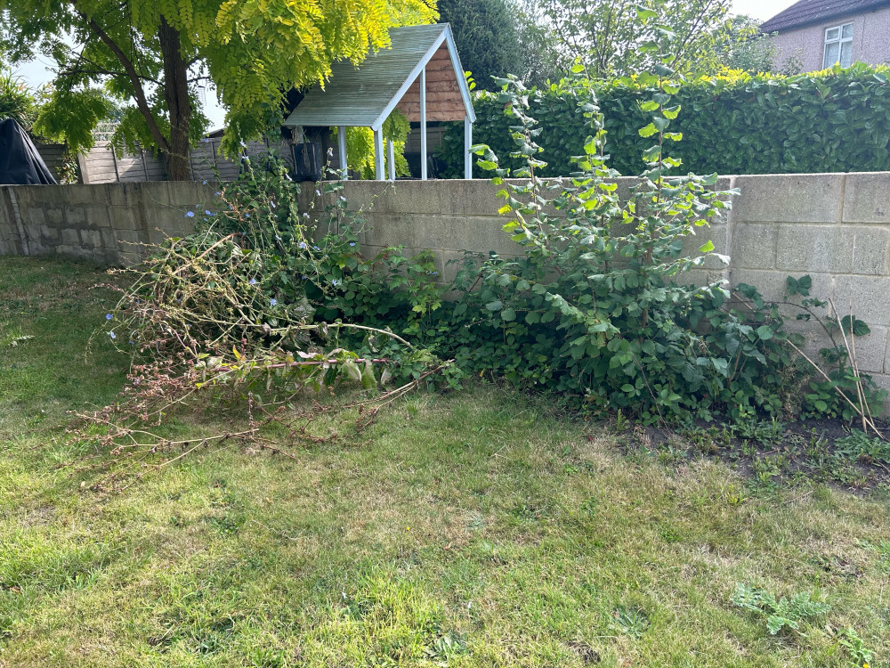 All kinds of gardens are welcome to be used at Teddington Society's Teddington in Flower (Credit: Tilly O'Brien) All kinds of gardens are welcome to be used at Teddington Society's Teddington in Flower (Credit: Tilly O'Brien)