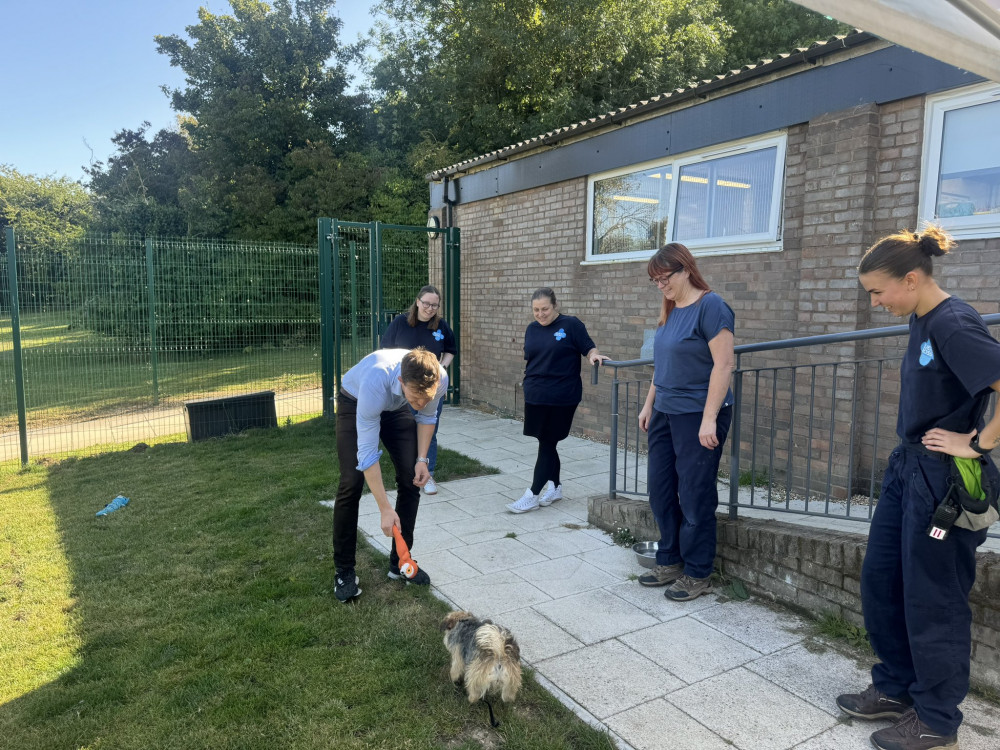 Alistair Strathern at animal charity Blue Cross (image via Alistair Stathern's office)