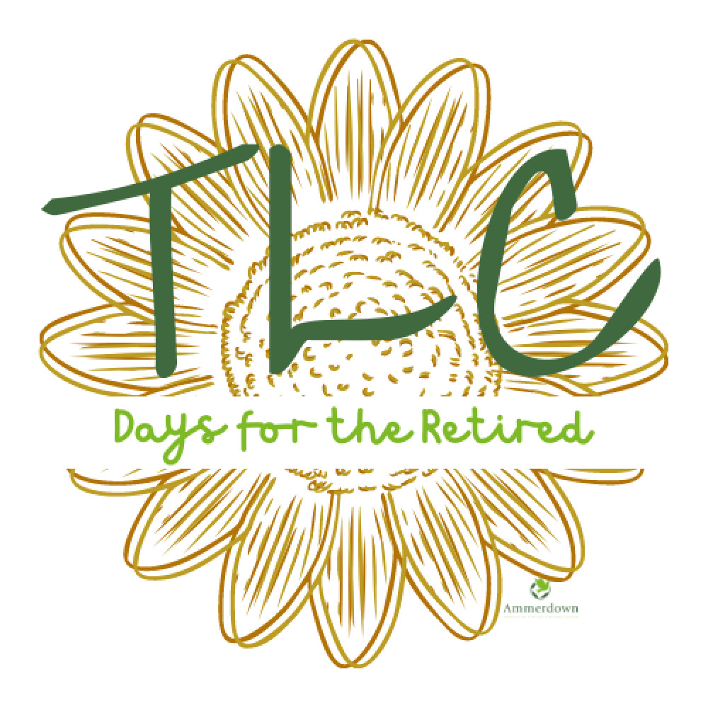 TLC Day for the Retired TLC Day for the Retired