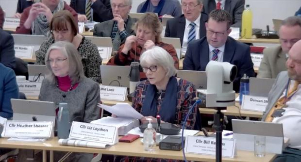 Cllr Liz Leyshon speaks during the council meeting. (Image: Somerset Council)